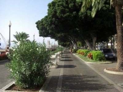 Laureles_-santa-cruz-de-tenerife-asa--400x299